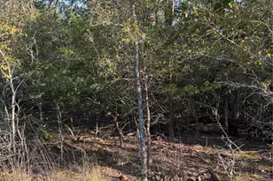 148 Helemano Dr, Bastrop, TX 78602 - Photo 1