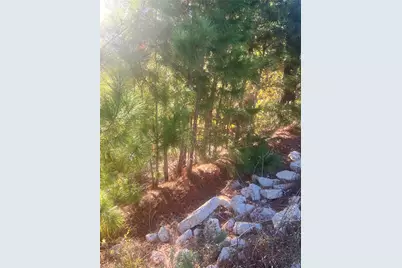 Tbd Onini Court, Bastrop, TX 78602 - Photo 2