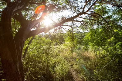 1616 W 6th Street #136, Austin, TX 78703 - Photo 16