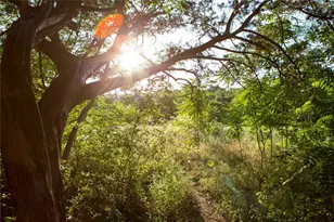 1616 W 6th St, Austin, TX 78703 - Photo 16