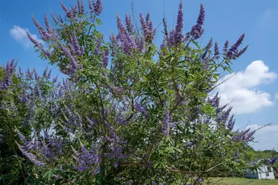 194 Rabbit Trail, Dale, TX 78616 - Photo 8