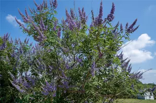 194 Rabbit Trail, Dale, TX 78616 - Photo 8