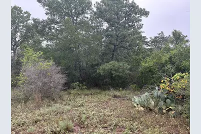Tbd Hanauma Drive, Bastrop, TX 78602 - Photo 8