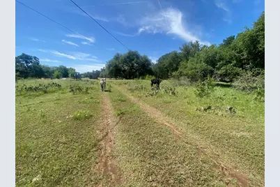 3215 County Road 305, Jarrell, TX 76537 - Photo 8