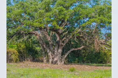 000 Cr103, Burnet, TX 76550 - Photo 34