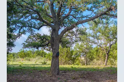 000 Cr103, Burnet, TX 76550 - Photo 28