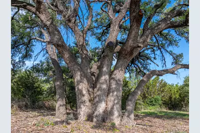 000 Cr103, Burnet, TX 76550 - Photo 16