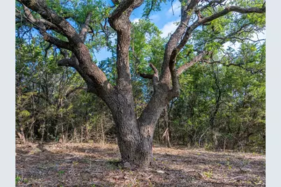 000 Cr103, Burnet, TX 76550 - Photo 26