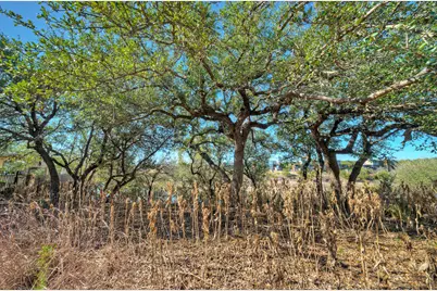 1311 Osprey Ridge Loop, Lago Vista, TX 78645 - Photo 18