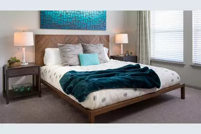 500 E Stassney Lane #00611, Austin, TX 78745 - Photo 4