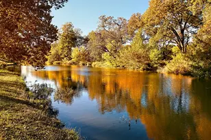 905 Turtle Creek CV, Georgetown, TX 78633 - Photo 24