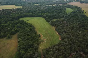 00 St Delight Rd, Paige, TX 78659 - Photo 1