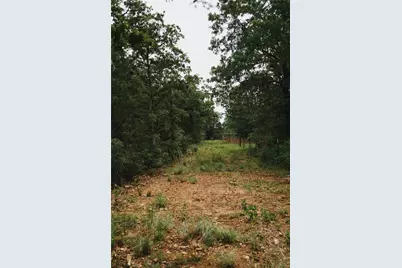 00 St Delight Road, Paige, TX 78659 - Photo 6