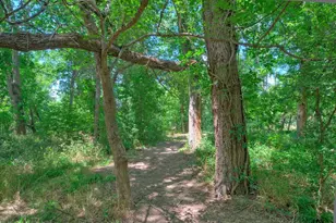 906 Water St, Manor, TX 78653 - Photo 18