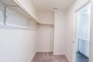 243 Waterbuck Loop, Hutto, TX 78634 - Photo 12