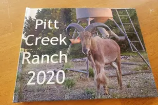 Lot 4 Cr 1255 Pitt Creek Ranch, Lampasas, TX 76550 - Photo 1