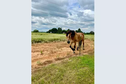 1286 County Road 446, Rockdale, TX 76567 - Photo 2