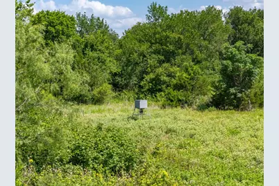 1500 County Road 481, Thrall, TX 76578 - Photo 4