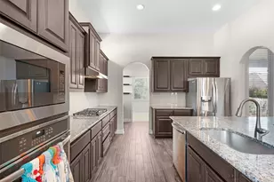 209 Cibolo Ridge Dr, Georgetown, TX 78628 - Photo 20