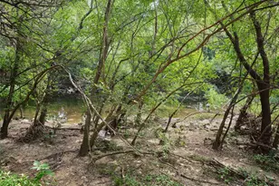 1012 Gaston Ave, Austin, TX 78703 - Photo 38