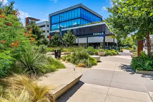 4325 Jackson Ave, Austin, TX 78731 - Photo 22