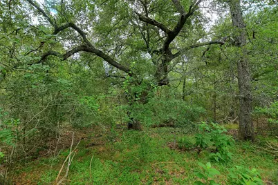 Tbd E Whitworth Lane E, Bastrop, TX 78602 - Photo 14