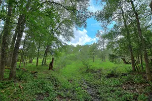 Tbd E Whitworth Ln E, Bastrop, TX 78602 - Photo 1