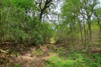 Tbd E Whitworth Lane E, Bastrop, TX 78602 - Photo 16