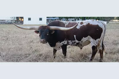 209 County Road 310, Rockdale, TX 76567 - Photo 38