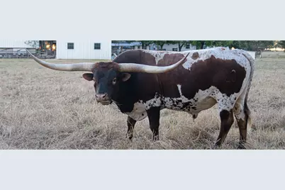 209 County Road 310, Rockdale, TX 76567 - Photo 38