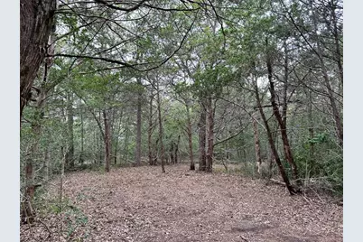 Tbd Lot 1 Zapalac Road, Smithville, TX 78957 - Photo 8