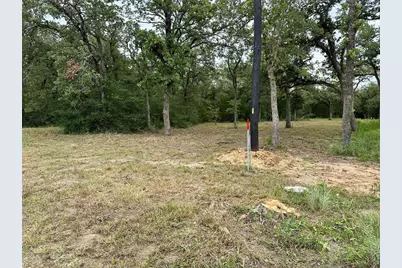 Tbd Lot 1 Zapalac Road, Smithville, TX 78957 - Photo 4