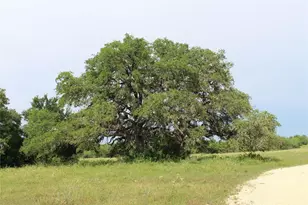 4188 FM 20, Seguin, TX 78155 - Photo 2