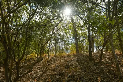 307 Kahana Lane, Bastrop, TX 78602 - Photo 6