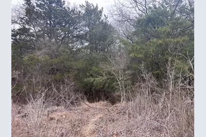 Tbd Pearson Road, Cedar Creek, TX 78616 - Photo 2