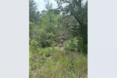 0 Tbd Lot 102 and Lot 100 Ripple Brook Drive, Bastrop, TX 78602 - Photo 6