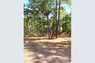 132 Akaloa Drive, Bastrop, TX 78602 - Photo 16