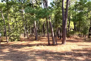 132 Akaloa Dr, Bastrop, TX 78602 - Photo 16