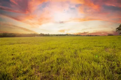 437 Firefly Field Lane, Seguin, TX 78155 - Photo 14