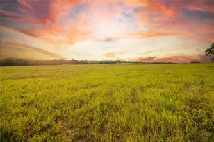 437 Firefly Fld Ln, Seguin, TX 78155 - Photo 14