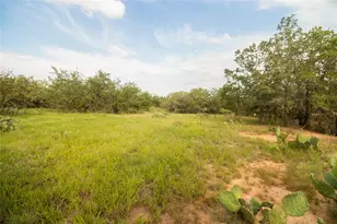 437 Firefly Fld Ln, Seguin, TX 78155 - Photo 4