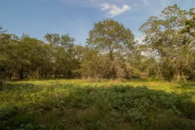 437 Firefly Field Lane, Seguin, TX 78155 - Photo 2