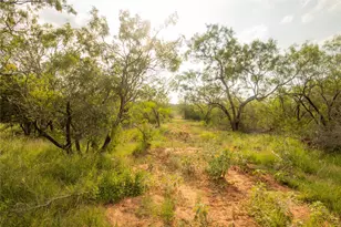 437 Firefly Fld Ln, Seguin, TX 78155 - Photo 8