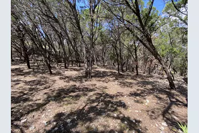 19201 W Reed Parks Road, Jonestown, TX 78645 - Photo 8