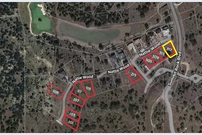 317 Nattie Wood, Horseshoe Bay, TX 78657 - Photo 1