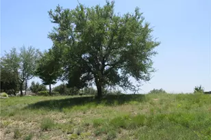 113 Quail Point, Spicewood, TX 78669 - Photo 6