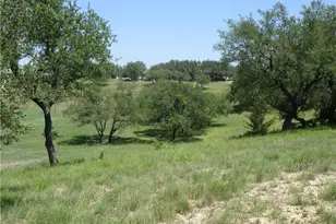 113 Quail Point, Spicewood, TX 78669 - Photo 2