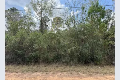 Lot 233 Makaha Drive, Bastrop, TX 78602 - Photo 2