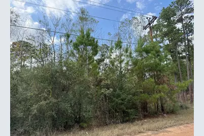 Lot 233 Makaha Drive, Bastrop, TX 78602 - Photo 16