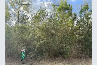 Lot 233 Makaha Drive, Bastrop, TX 78602 - Photo 4